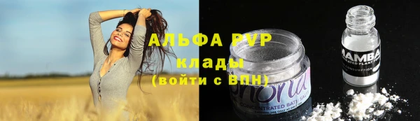ешки Алексин
