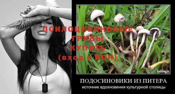 метадон Абаза