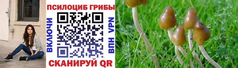 Псилоцибиновые грибы прущие грибы Сурск
