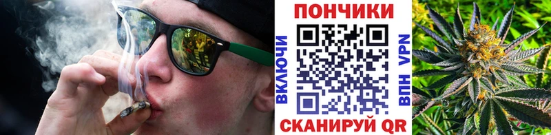 где купить наркоту  Сурск  Конопля Bruce Banner 